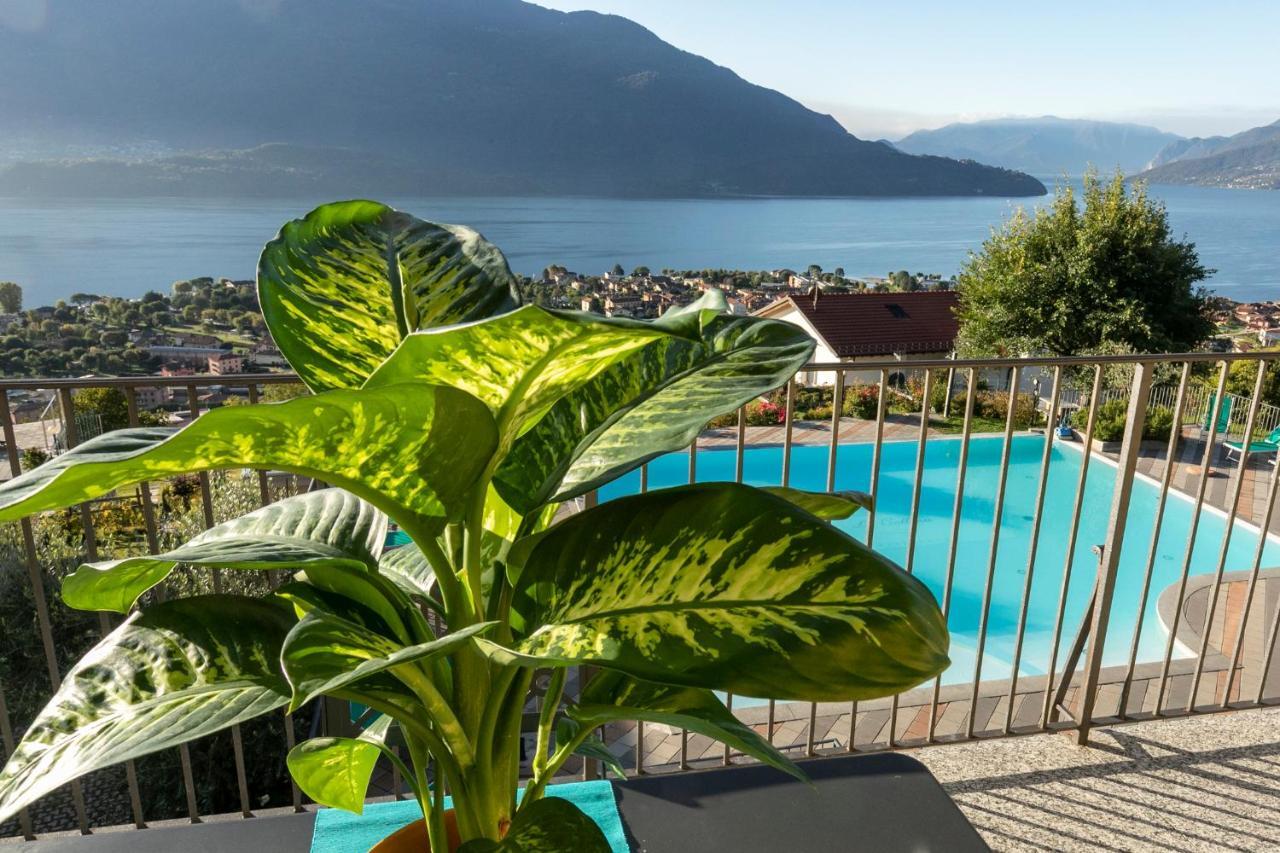 La Collina Degli Ulivi Lägenhet Vercana Exteriör bild
